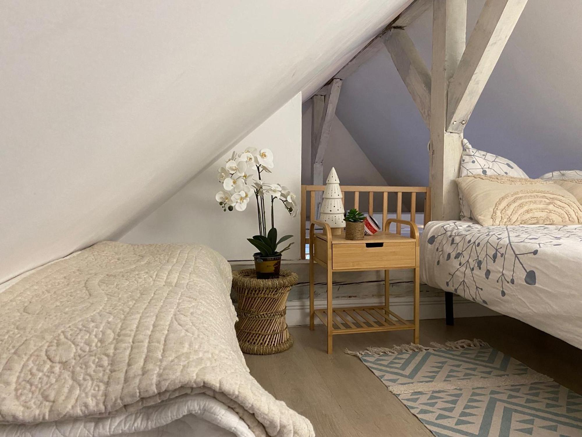 Duplex Spacieux Tout Confort ミュルーズ エクステリア 写真