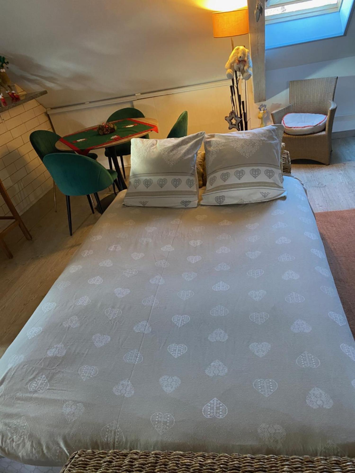 Duplex Spacieux Tout Confort ミュルーズ エクステリア 写真