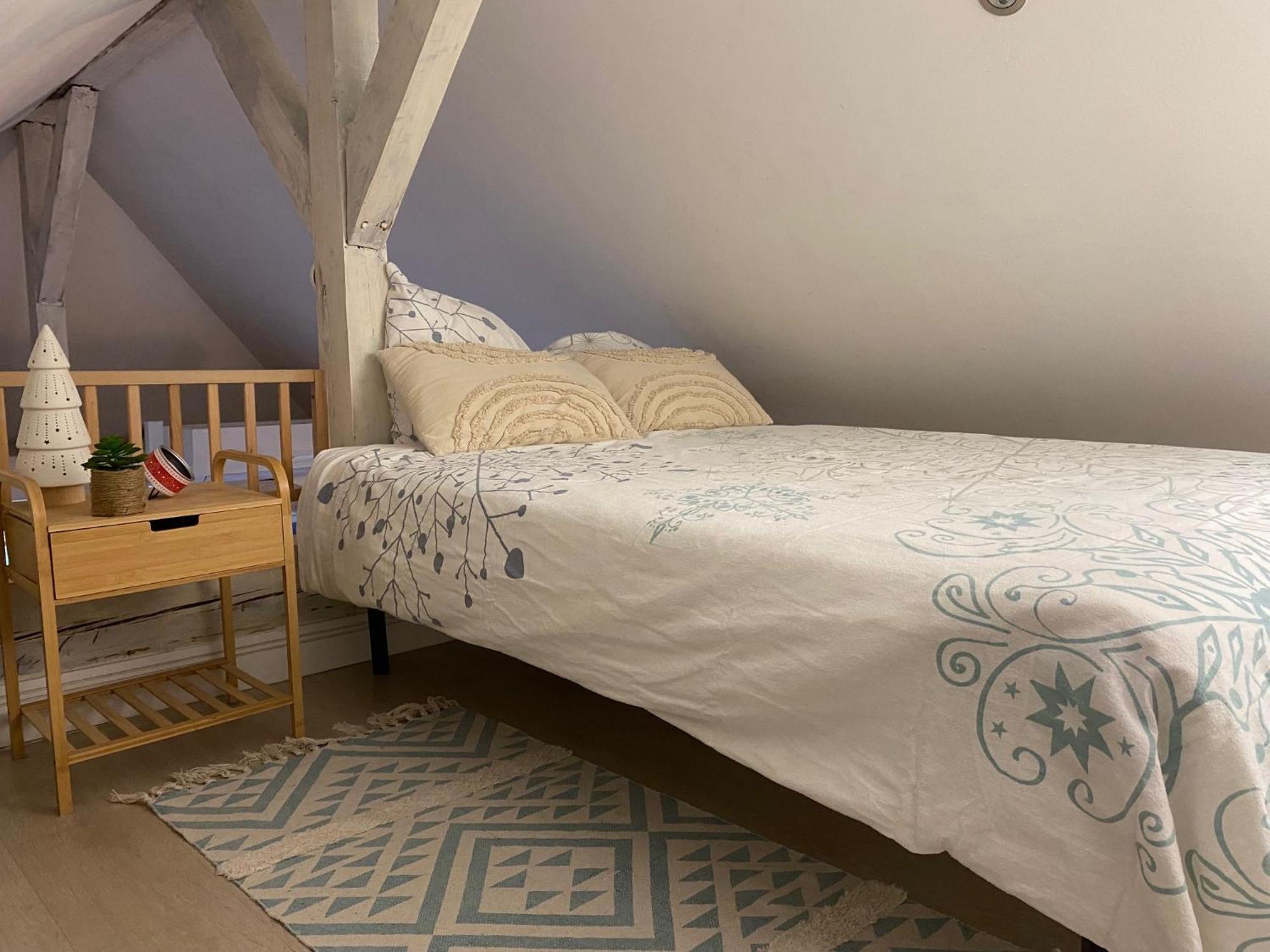 Duplex Spacieux Tout Confort ミュルーズ エクステリア 写真